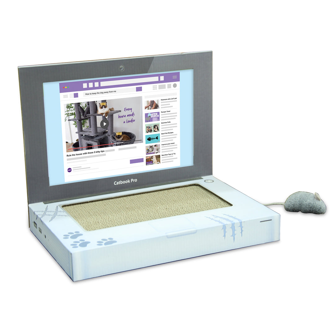 Kazoo Catbook Pro-carboard Cat Laptop