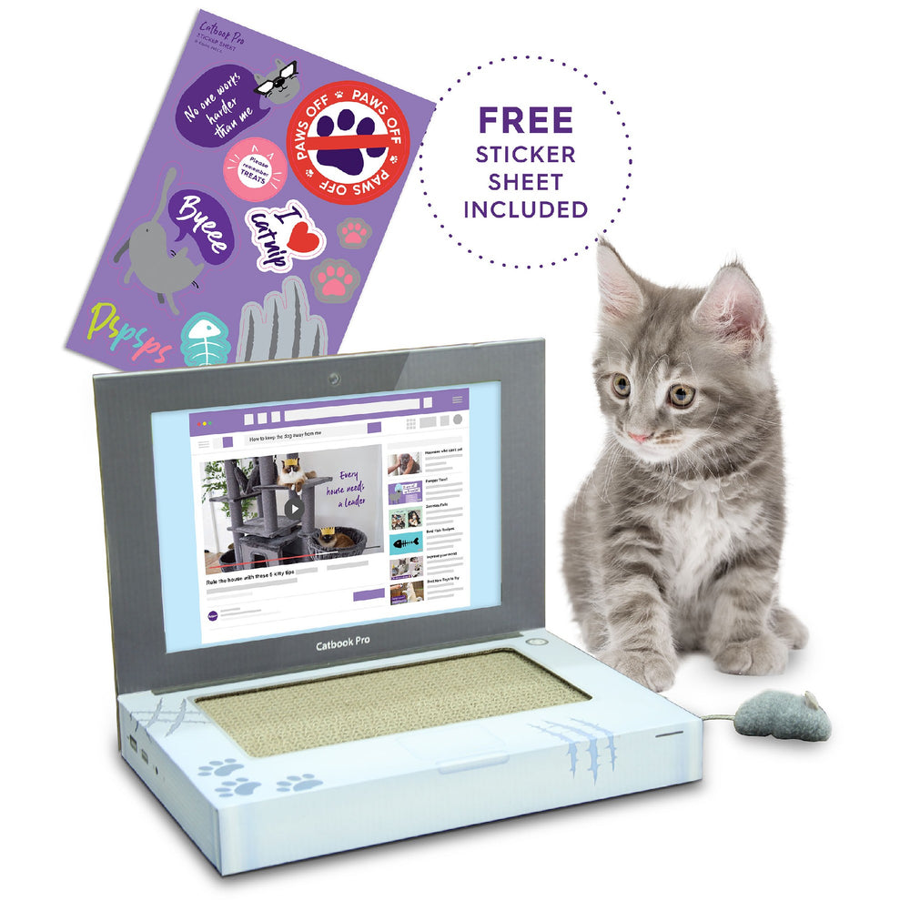 Kazoo Catbook Pro-carboard Cat Laptop