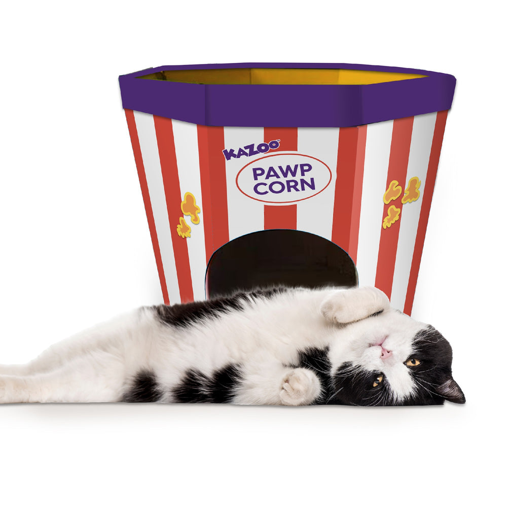 Kazoo Kitty Pop Corn Cardboard House