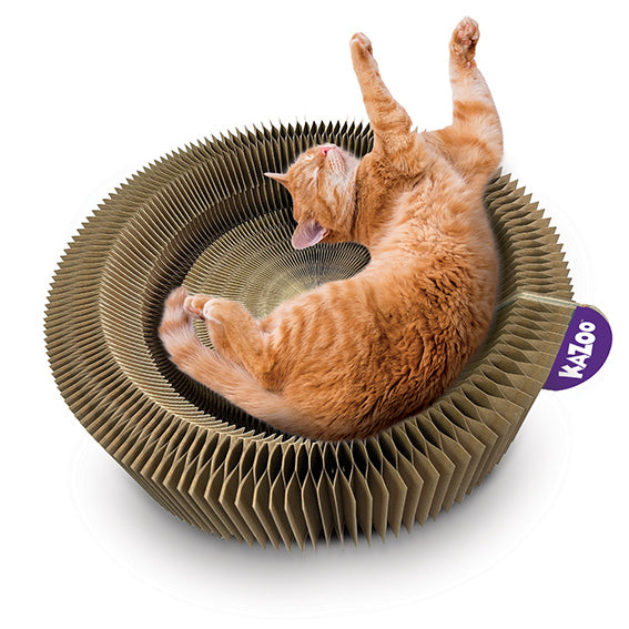 Kazoo Kitty Accordian Cardboard Bed W Ball