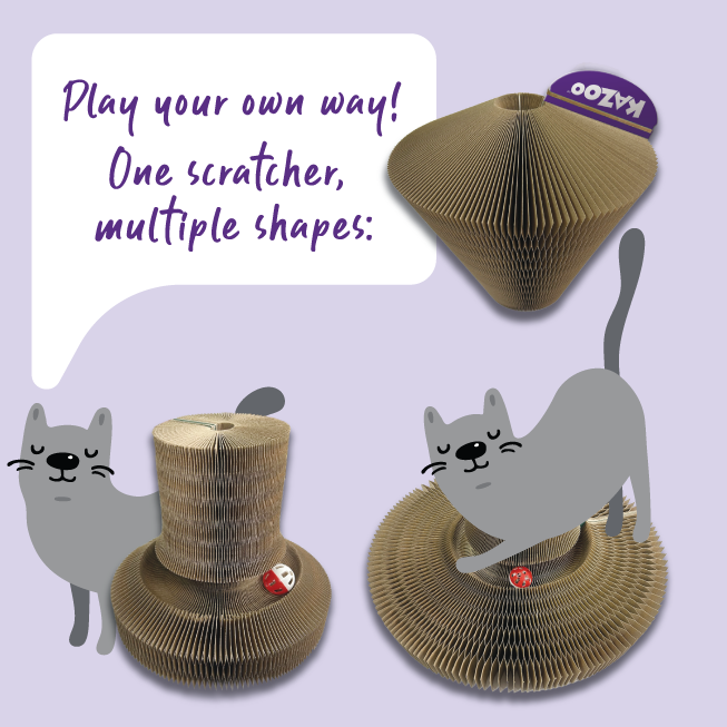 Kazoo Kitty Accordian Cardboard Bed W Ball