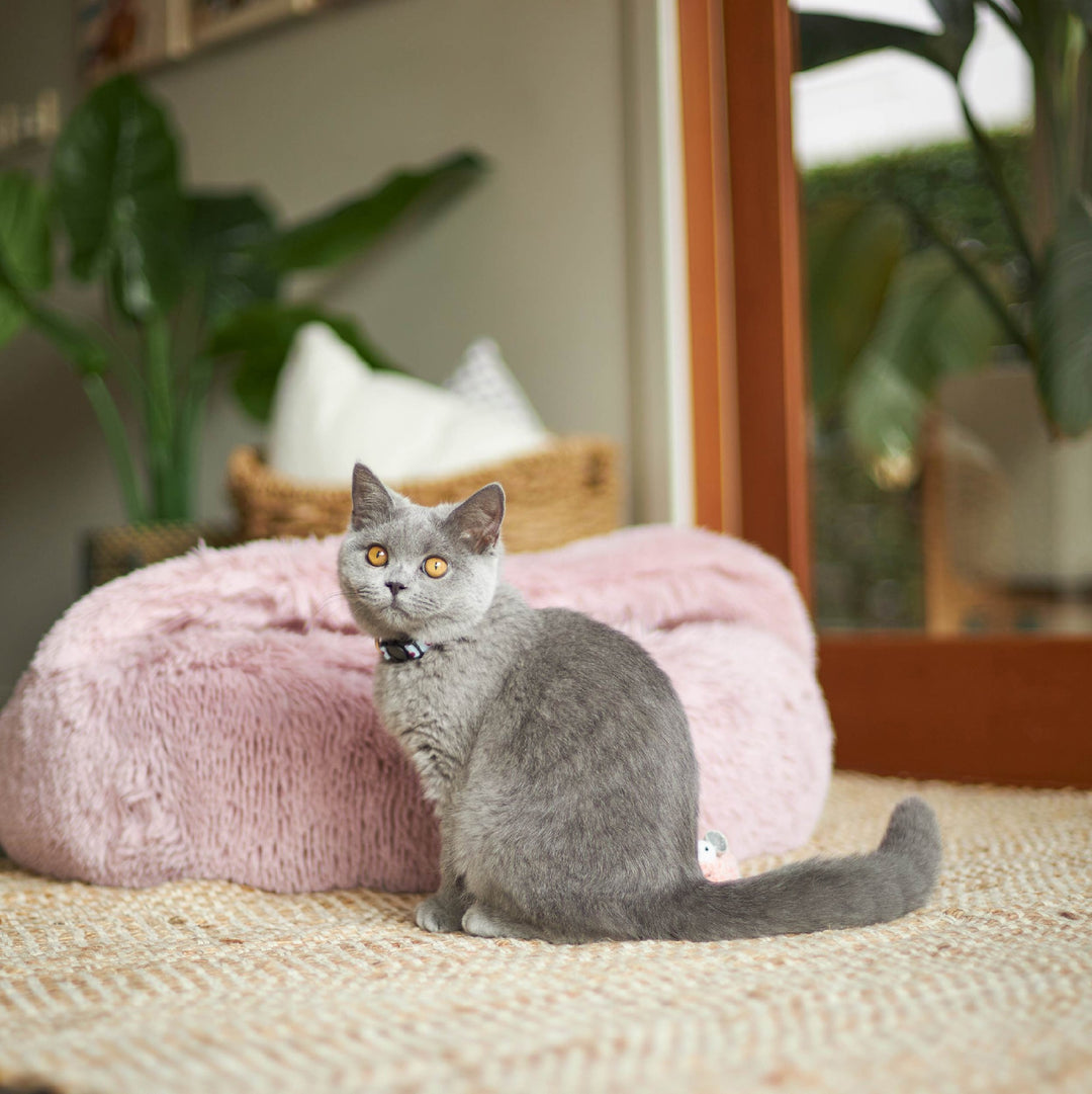 Kazoo Bed Hideout - Rose