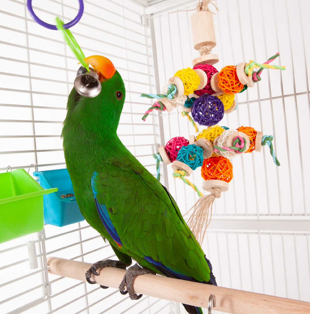 Kazoo Bird Toy Triple Cage Ring With Bell 