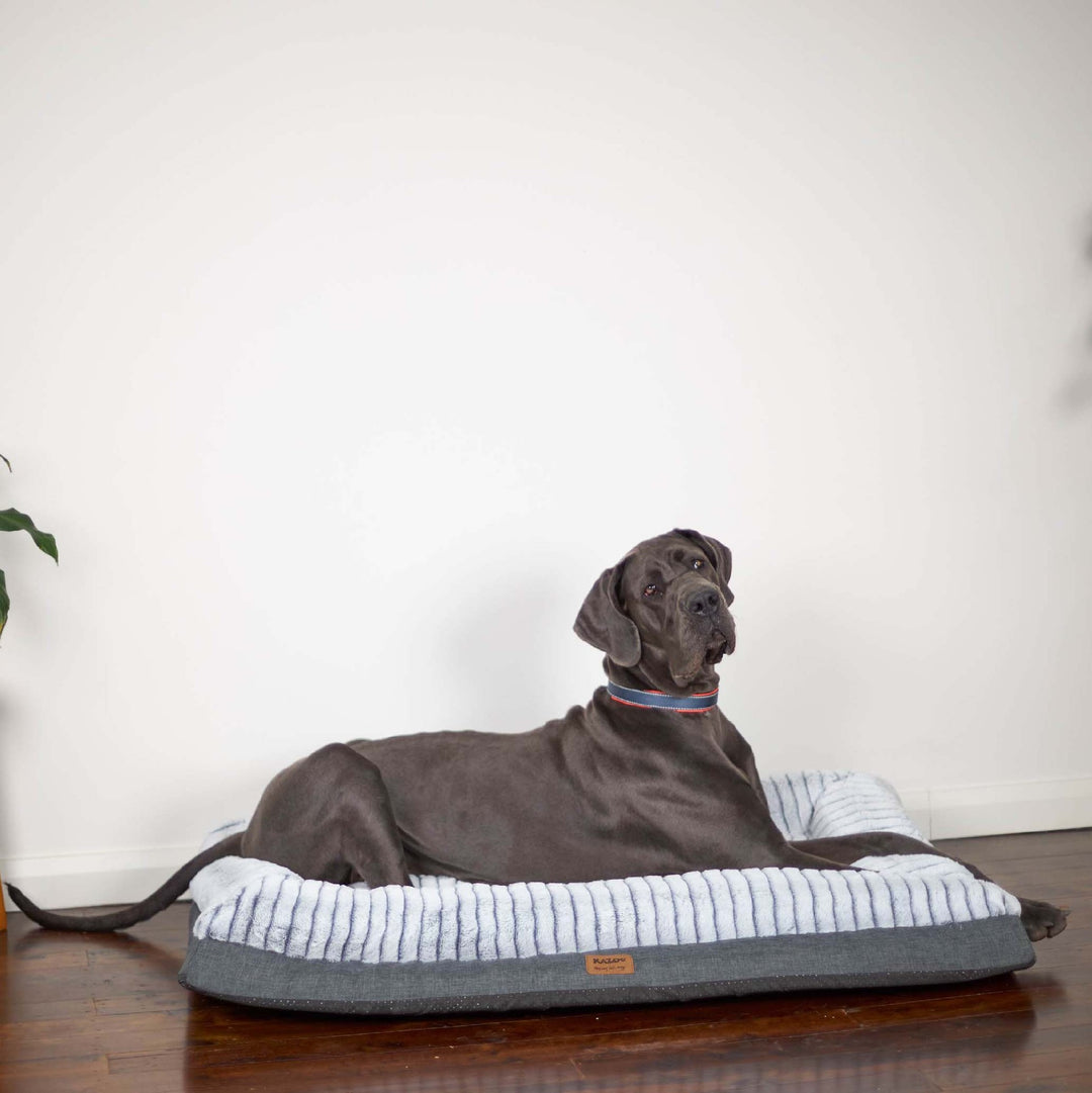 Kazoo Bed Cloud Comfort - Grey Giant