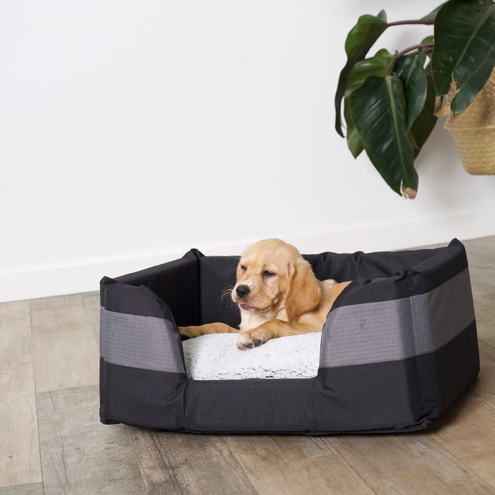 Kazoo Bed Cave Small