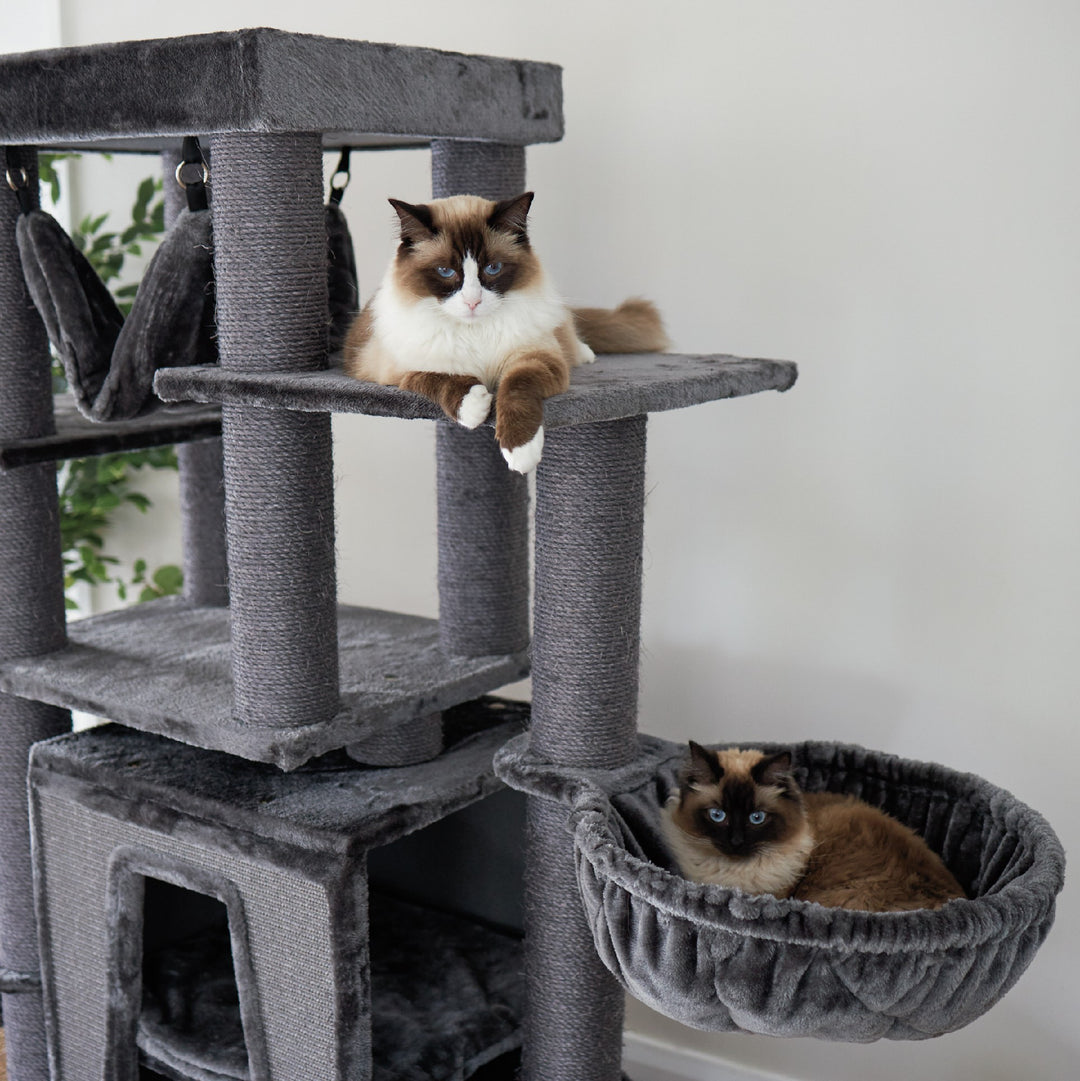 Kazoo Cat Scratch Pole Kitty Tall Cubby Playground 