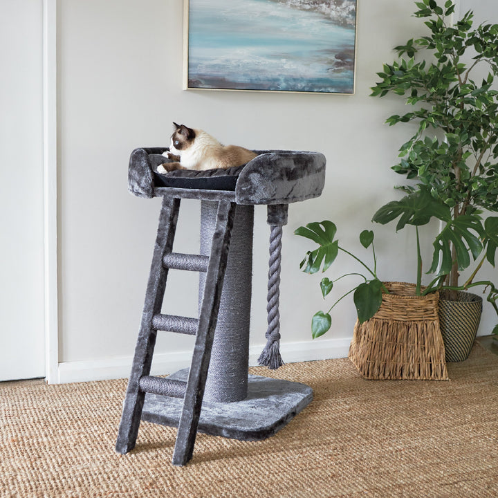 Kazoo Cat Scratch Pole Kitty High Bed With Ladder 15558