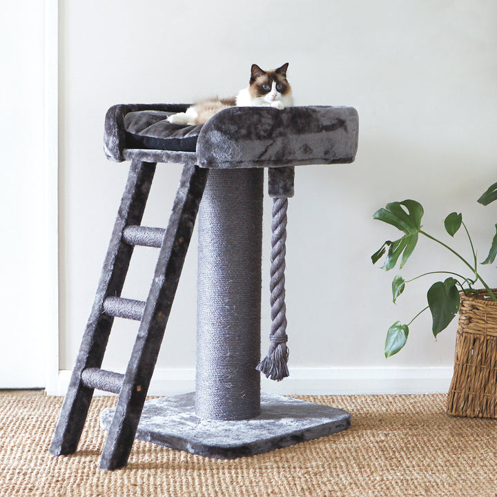 Kazoo Cat Scratch Pole Kitty High Bed With Ladder 15558