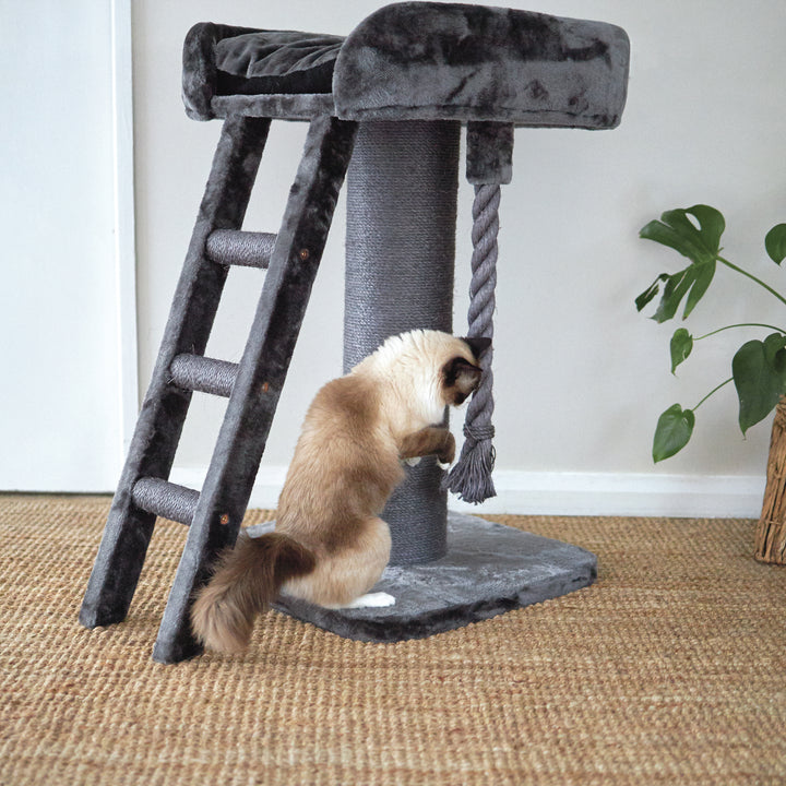 Kazoo Cat Scratch Pole Kitty High Bed With Ladder 15558