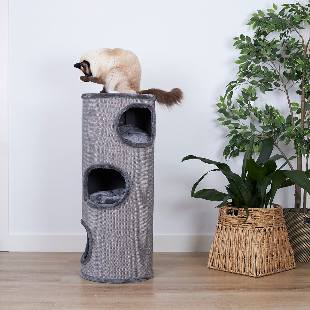 Kazoo Cat Scratch Pole Kitty Peek-a-boo Tunnel Charcoal Plush & Grey Sisal