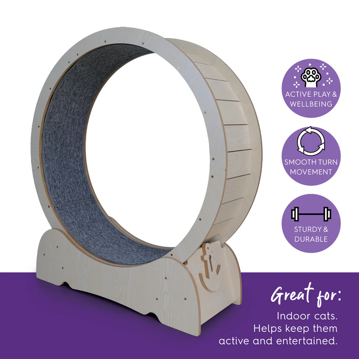 Kazoo Cat Workout Wheel With Carpet