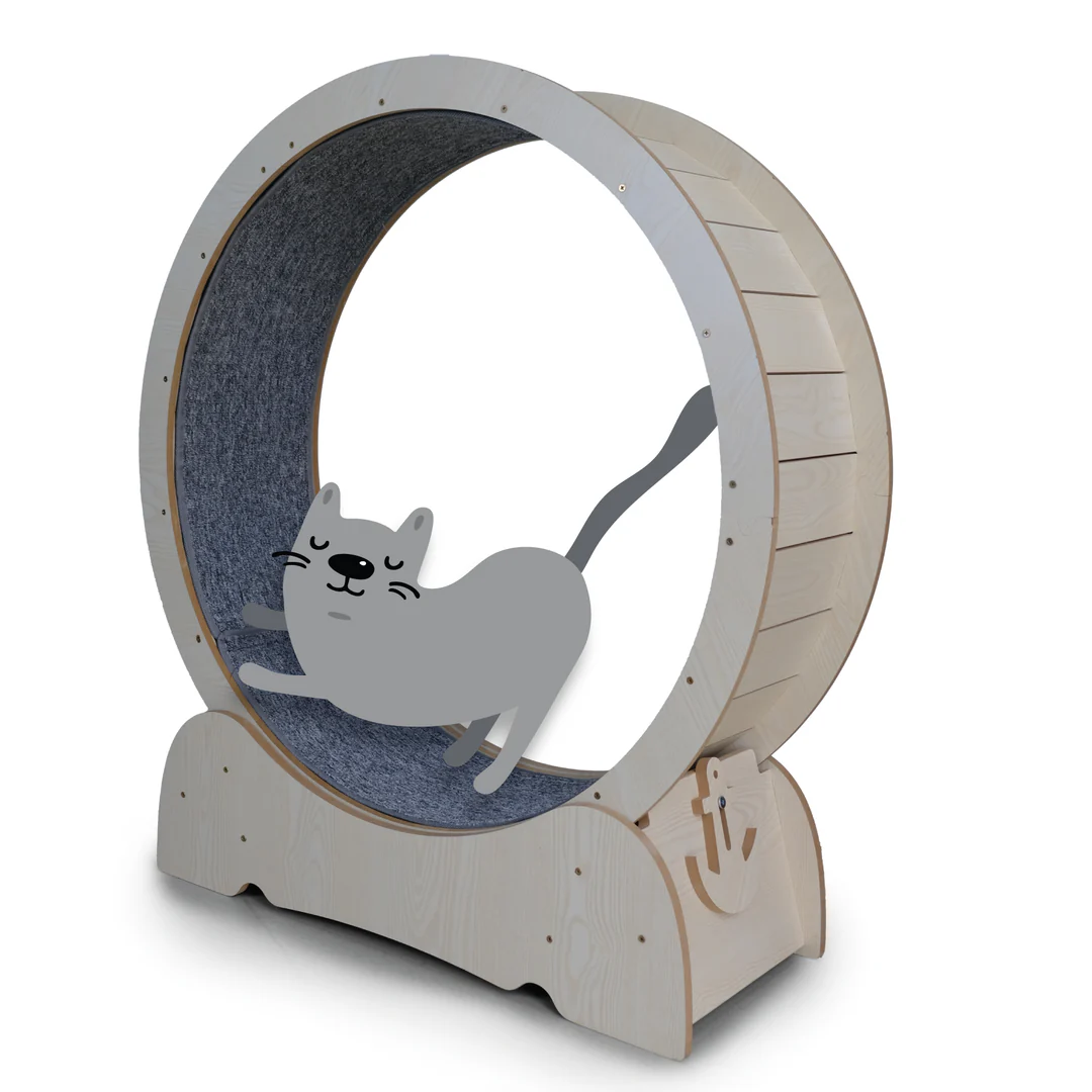 Kazoo Cat Workout Wheel With Carpet