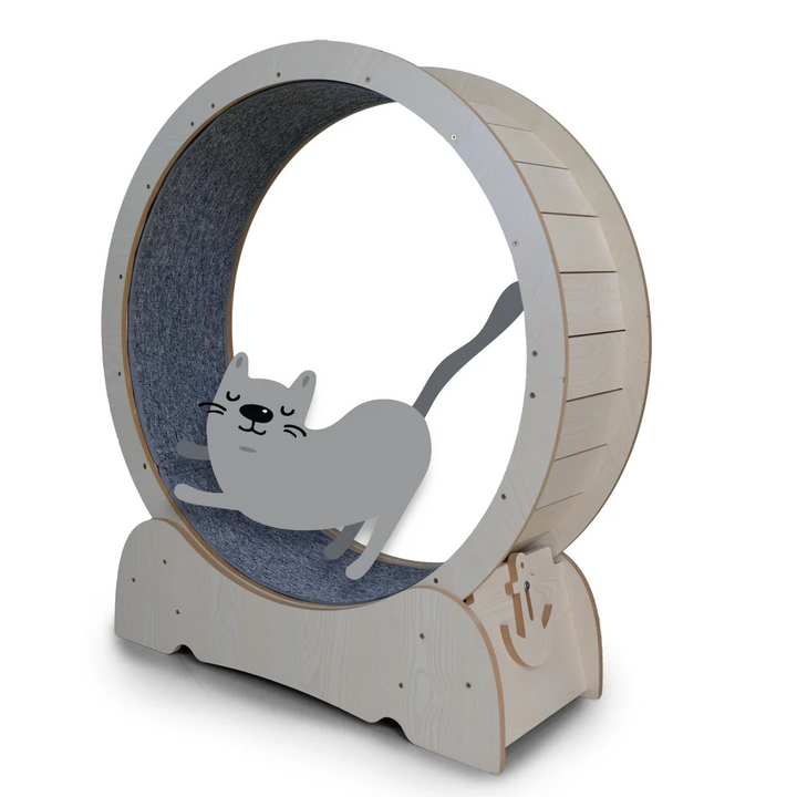 Kazoo Cat Workout Wheel With Carpet