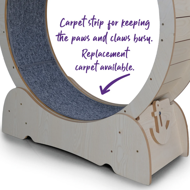 Kazoo Cat Workout Wheel With Carpet