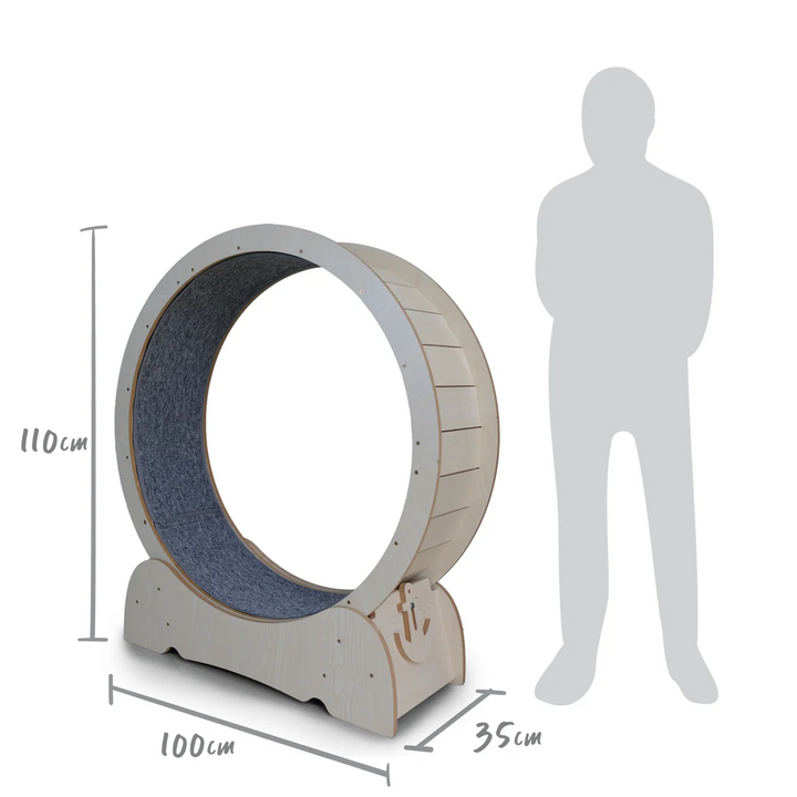 Kazoo Cat Workout Wheel With Carpet