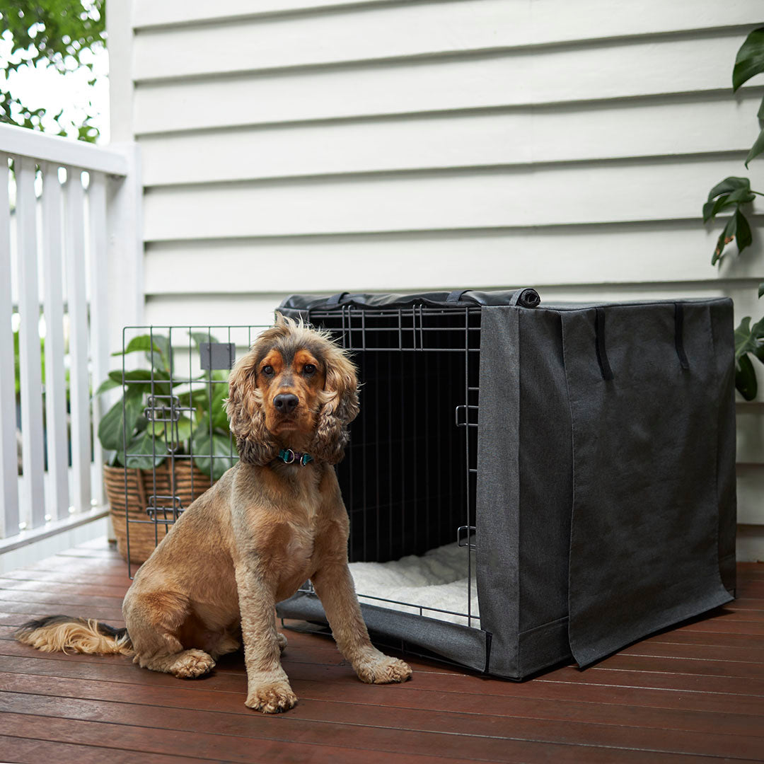 Kazoo Premium Crate Cover Medium