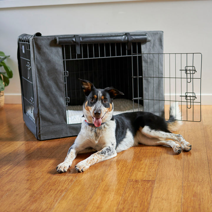 Kazoo Premium Crate Cover Medium