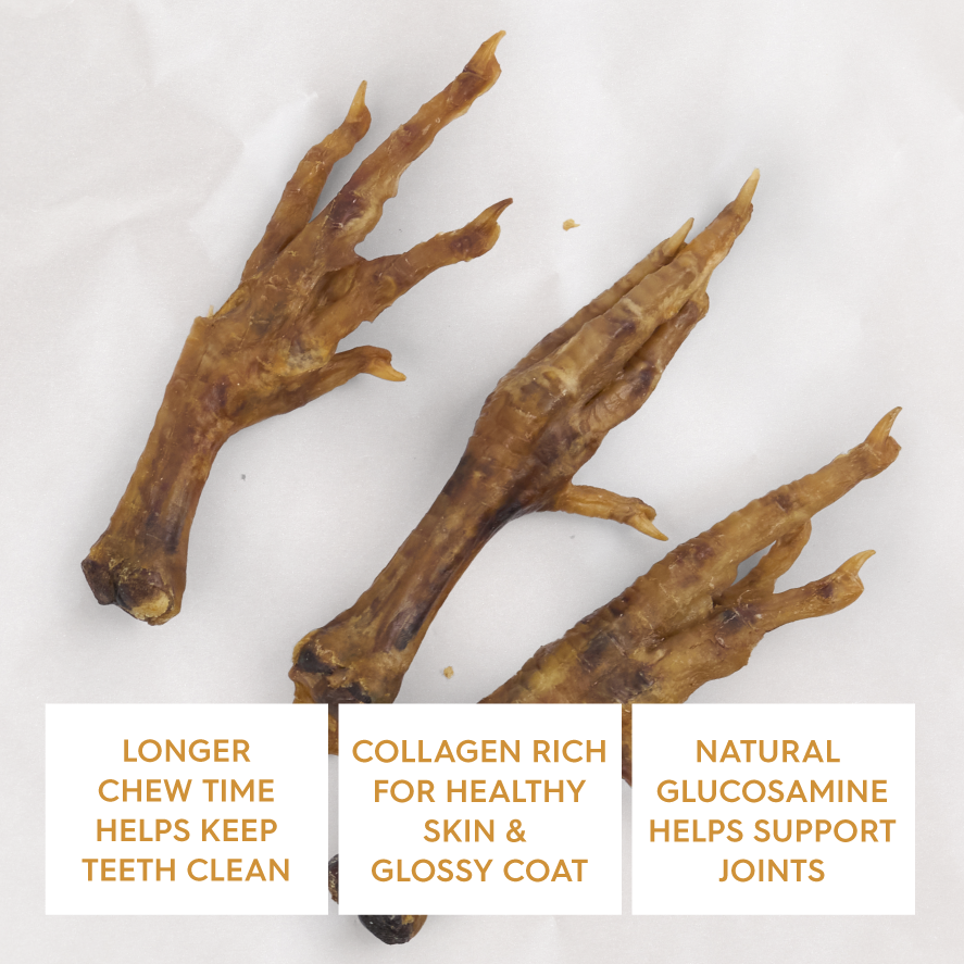 Kazoo Prime Cuts Chicken Feet 500g