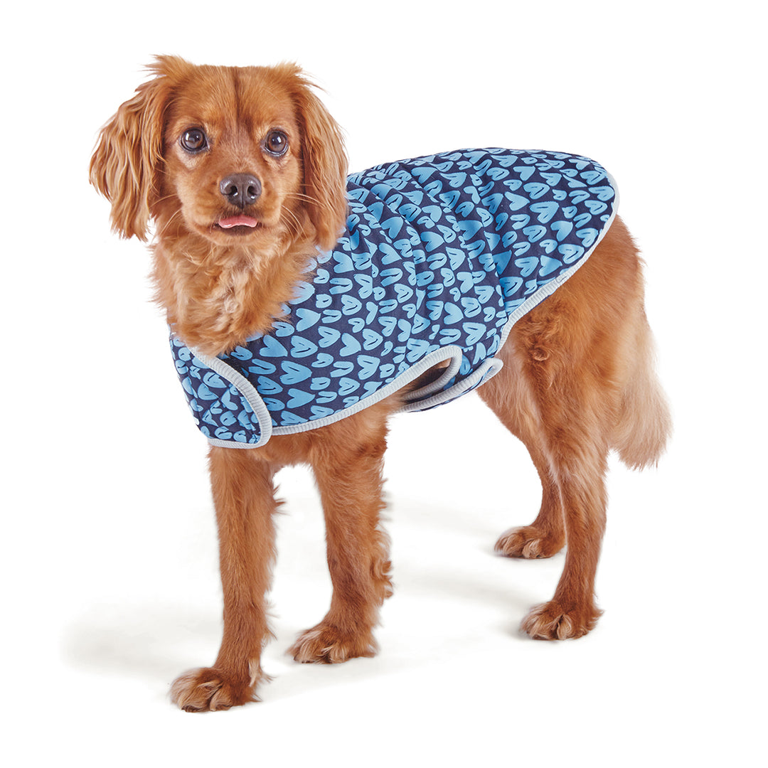Kazoo Blue Love Snuggle I 53cm