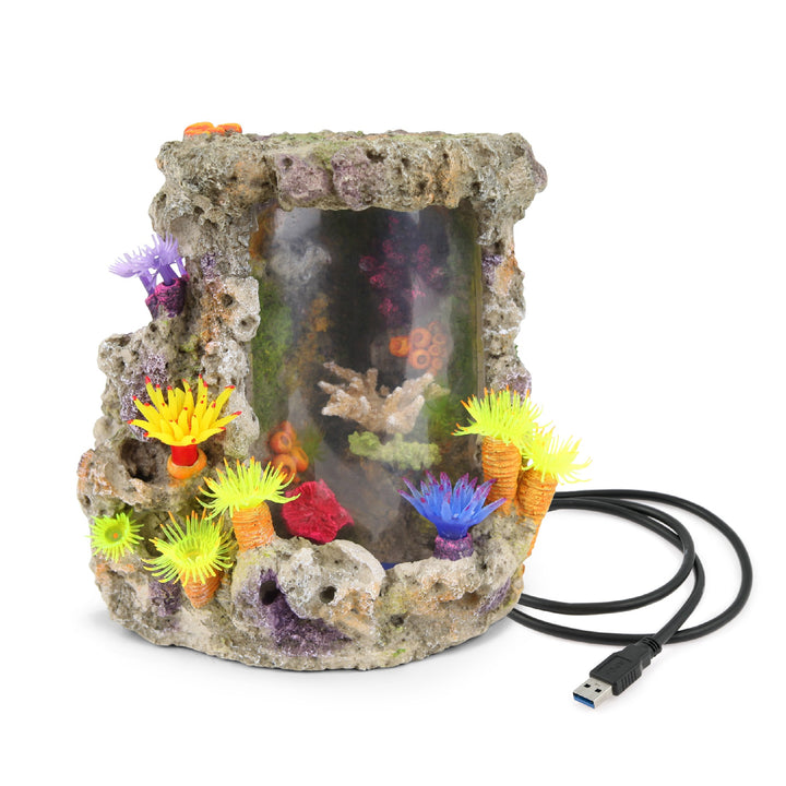 Kazoo Ornamentled Coral Centrepiece W/plants & Air Medium