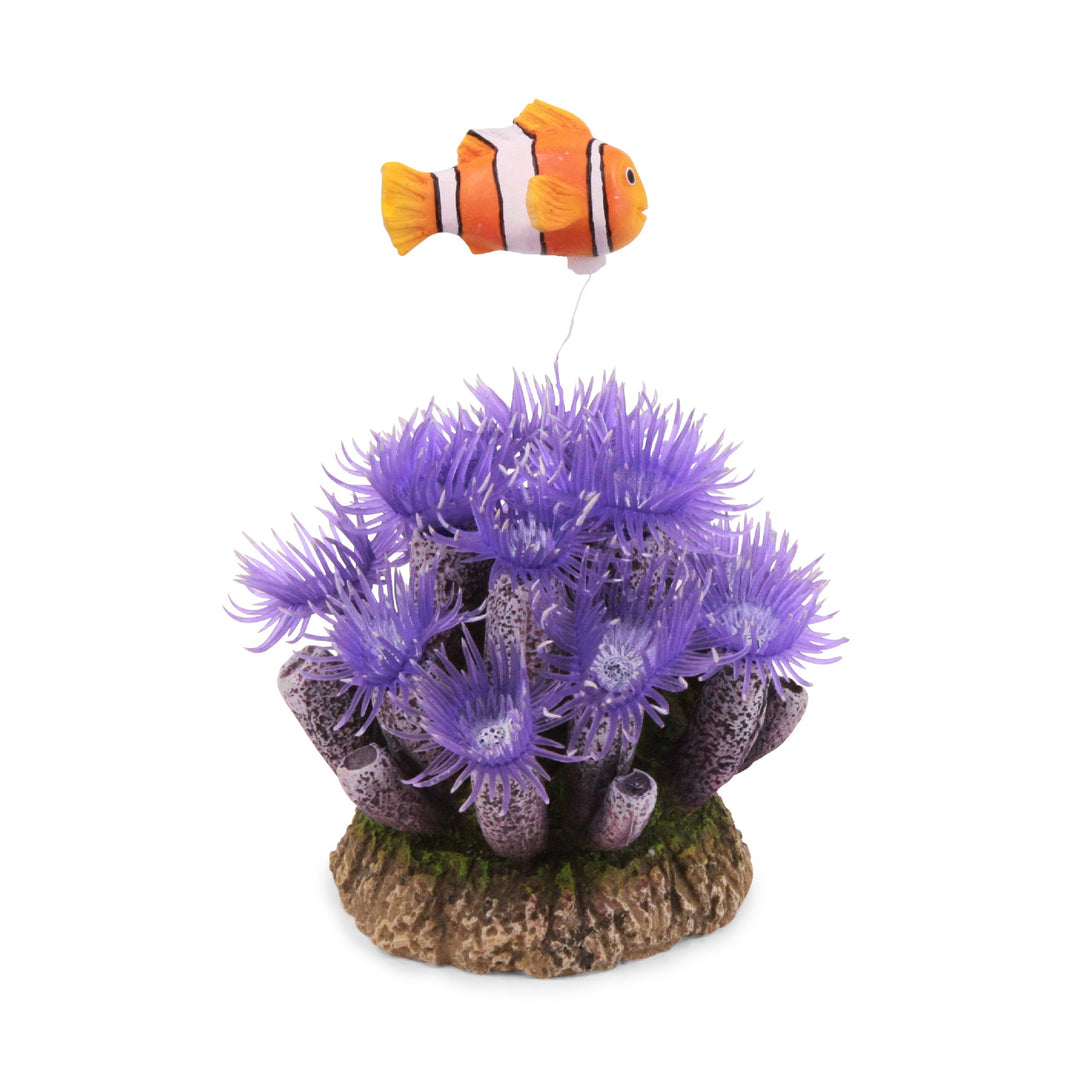 Kazoo Ornamentled Coral Centrepiece W/plants & Air Medium