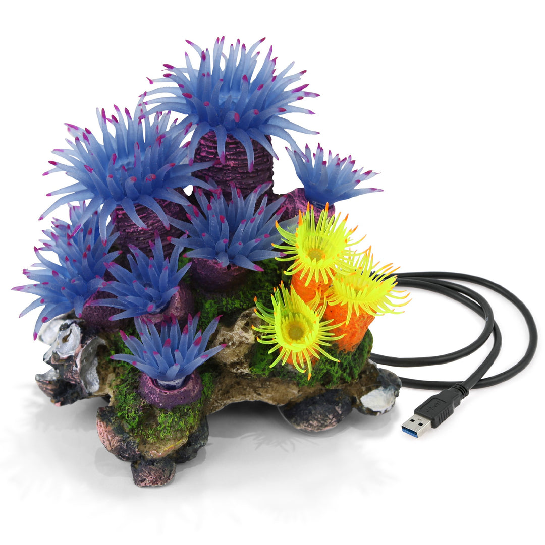Kazoo Ornament Blue Tunicate Coral Assorted - Medium