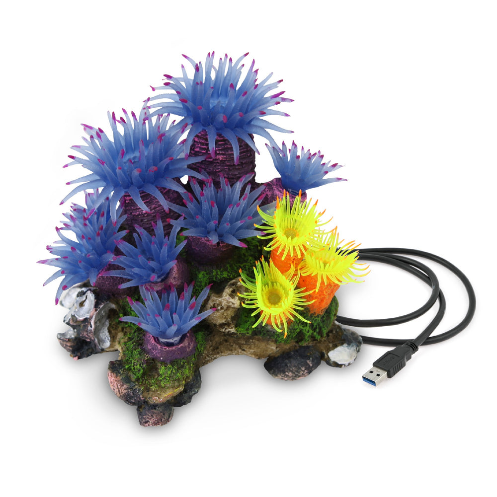 Kazoo Ornament Blue Tunicate Coral Assorted - Medium