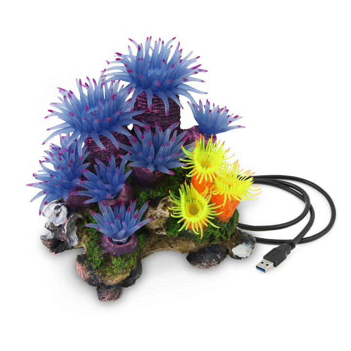 Kazoo Ornament Blue Tunicate Coral Assorted - Medium