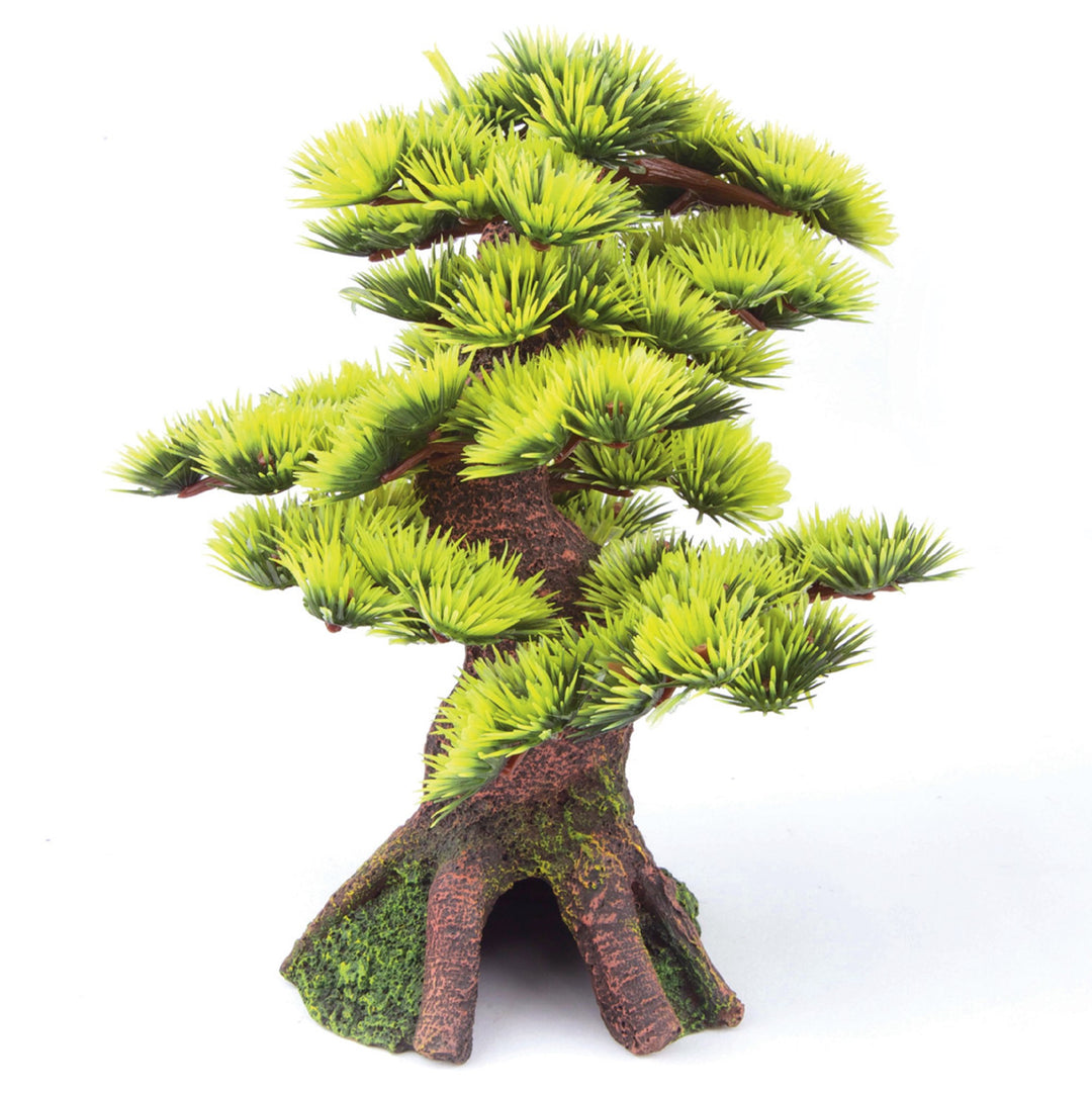 Kazoo Ornament Bonsai Plant Small