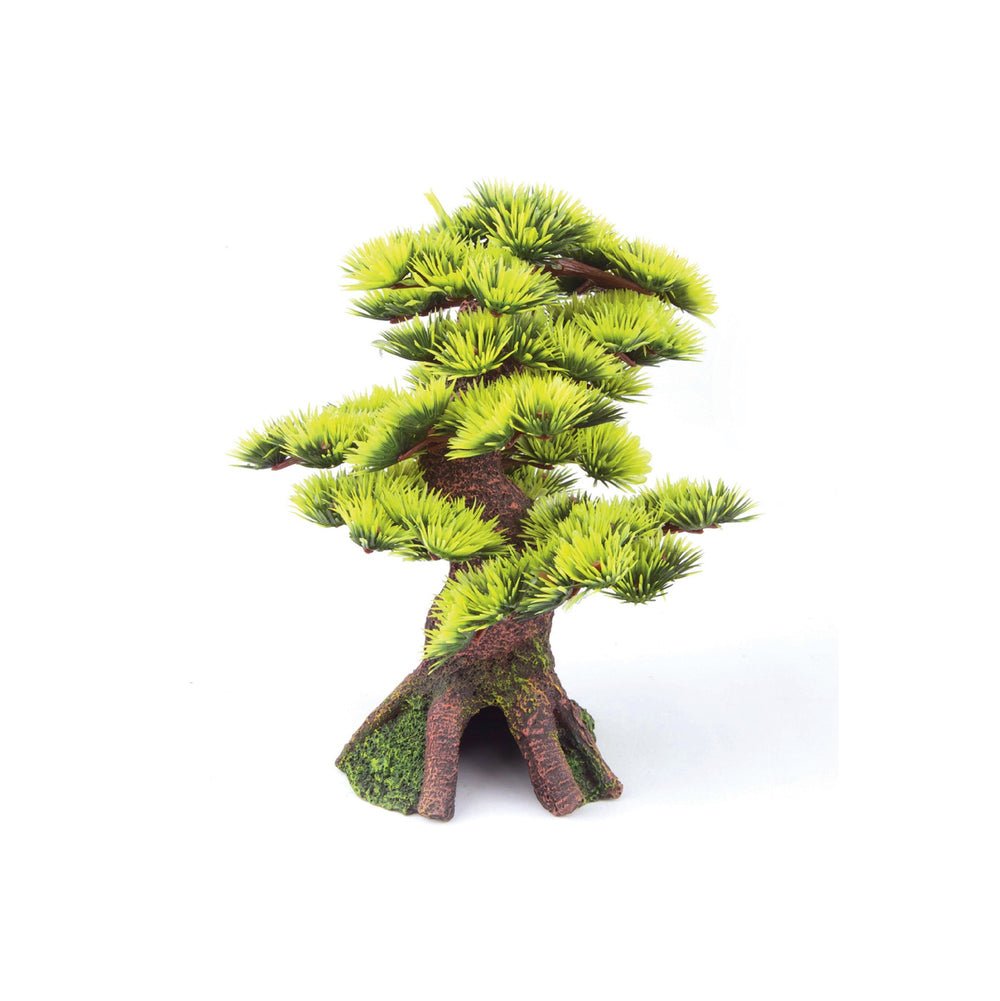 Kazoo Ornament Bonsai Plant Small