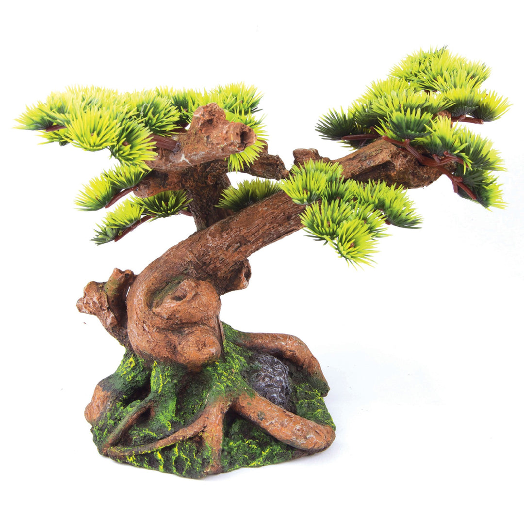 Kazoo Ornament Bonsai Plant Medium
