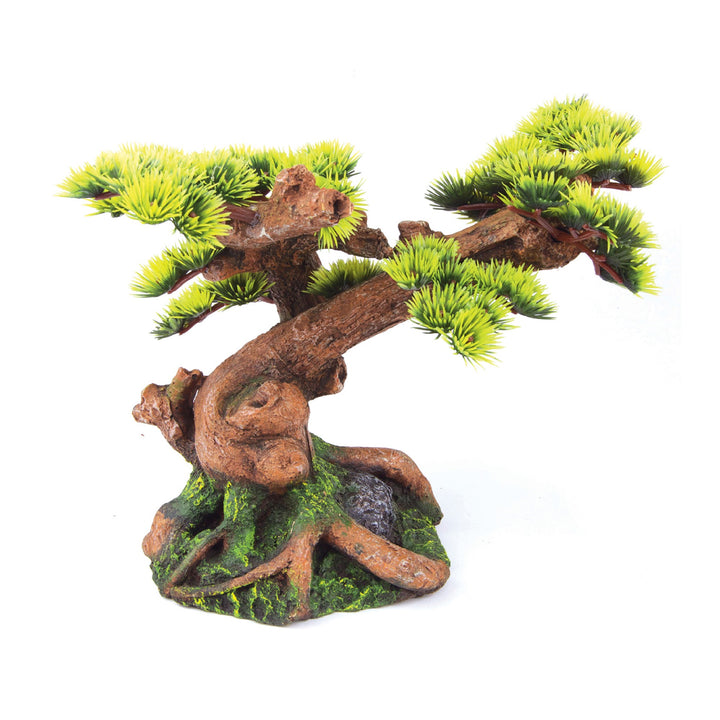 Kazoo Ornament Bonsai Plant Medium