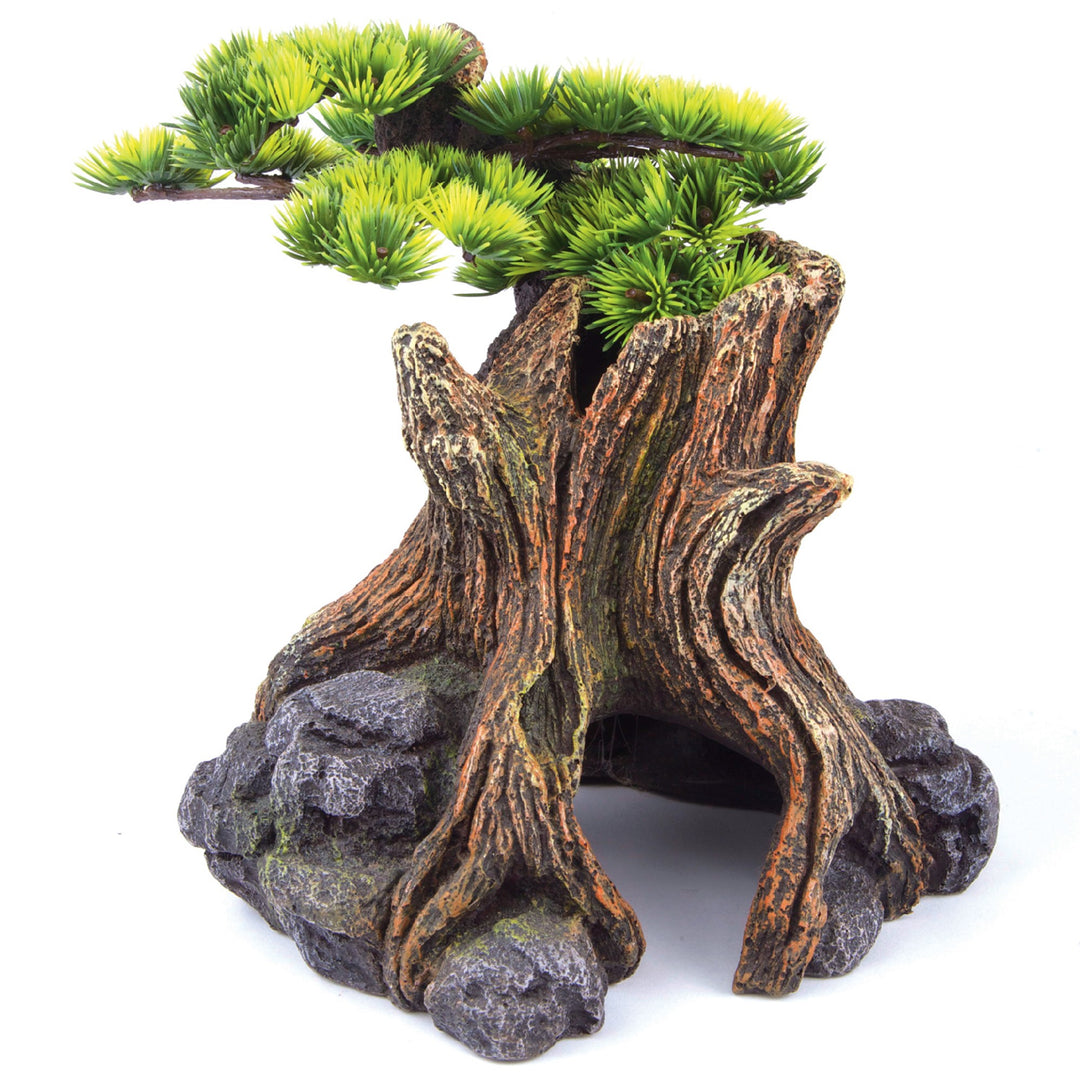 Kazoo Ornament Bonsai Plant Large