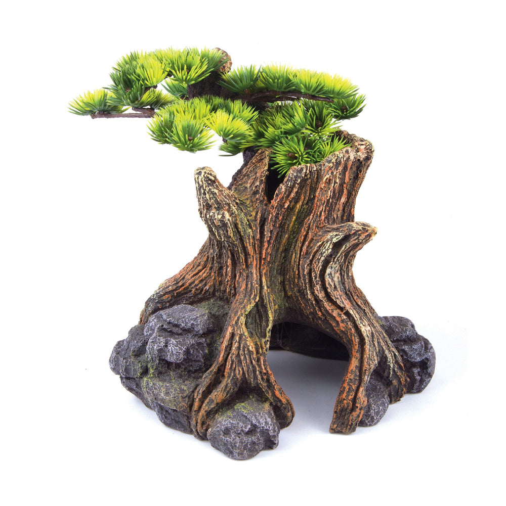 Kazoo Ornament Bonsai Plant Large