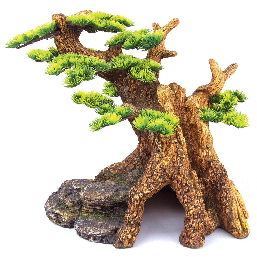 Kazoo Ornament Bonsai Plant Extra Large