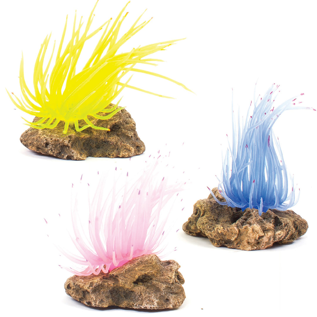 Kazoo Ornament Soft Grass Coral W/rock Pink/y/b - Small