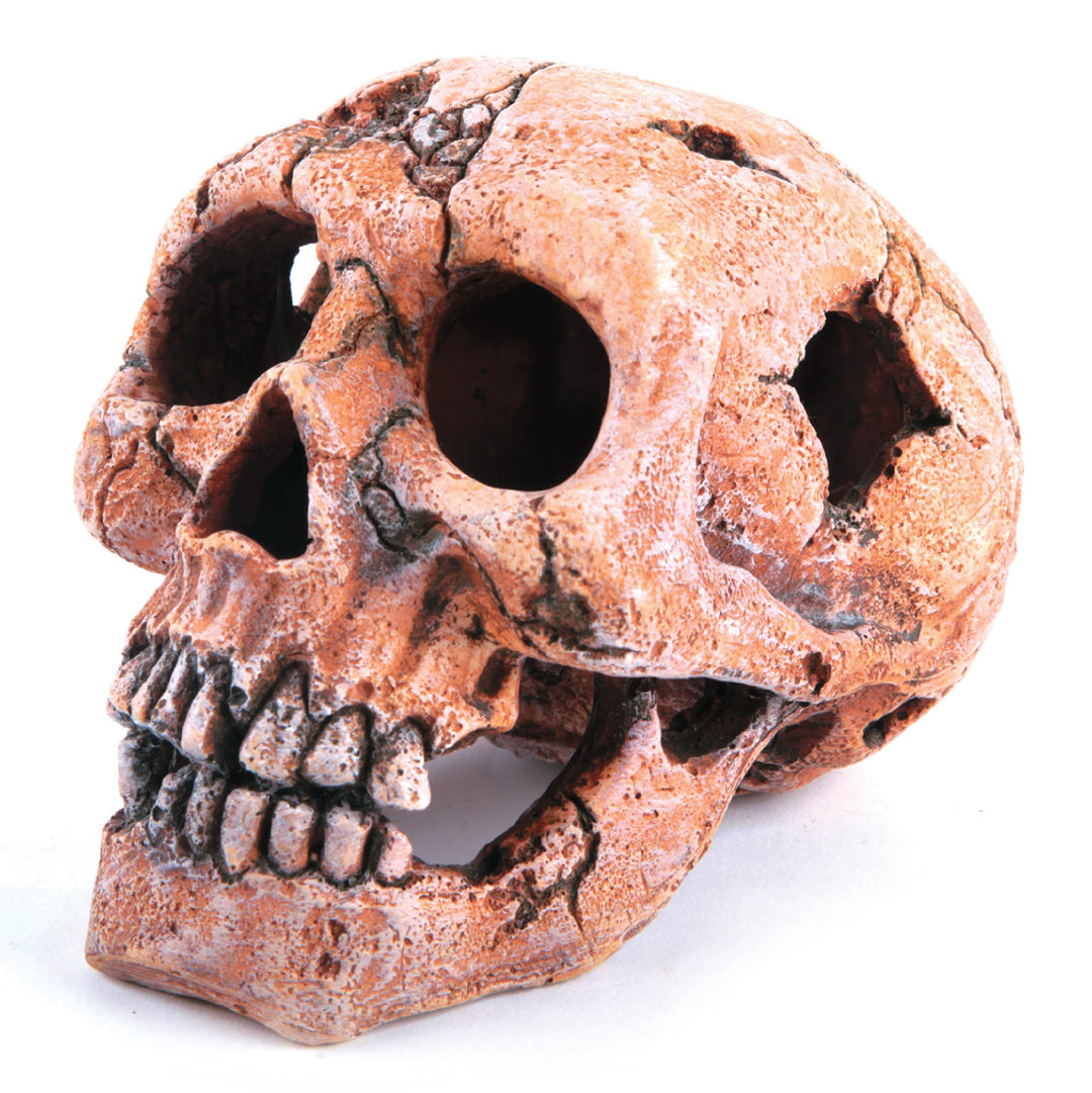 Kazoo Ornament Skull Medium