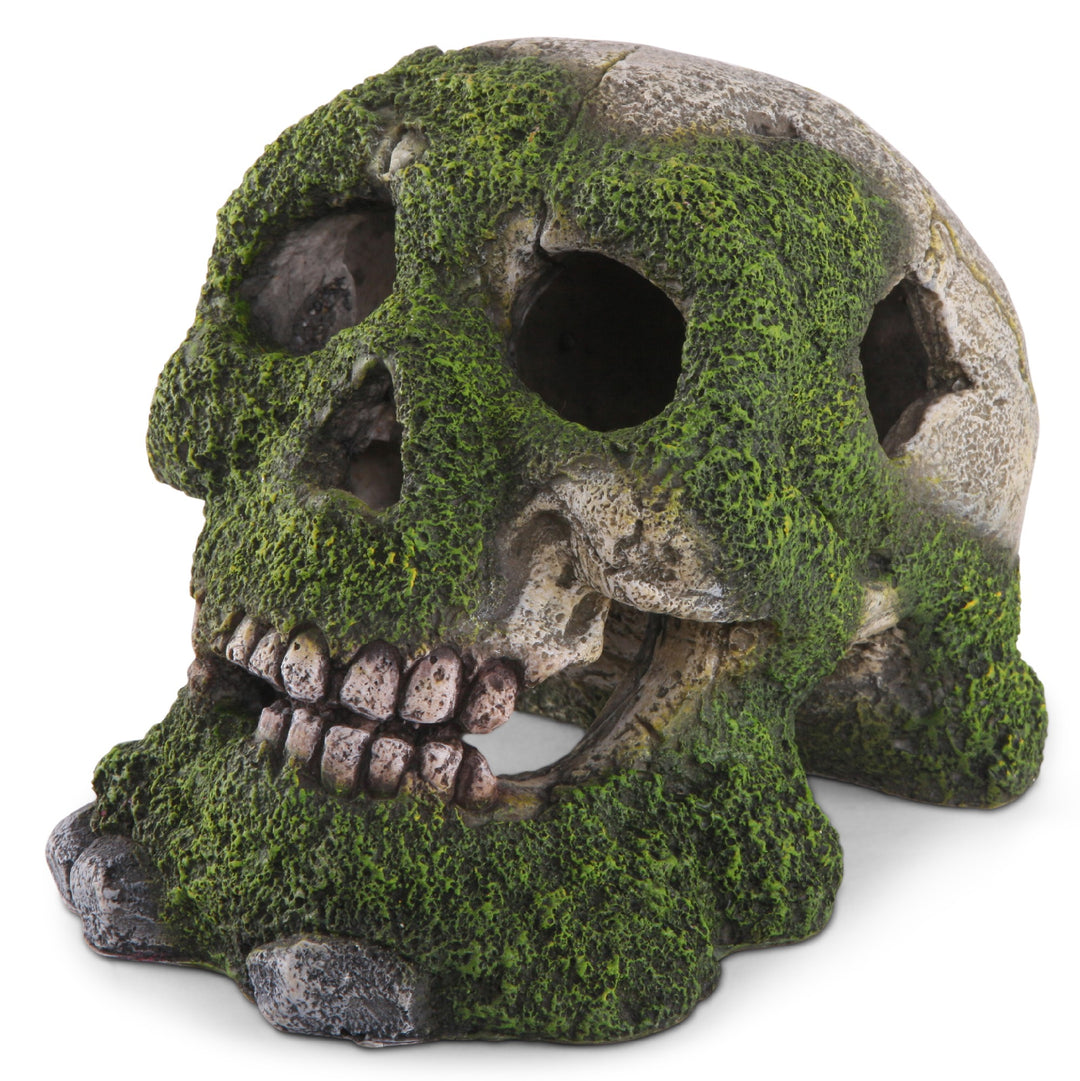 Kazoo Ornament Skull With Moss And Air Stone Small