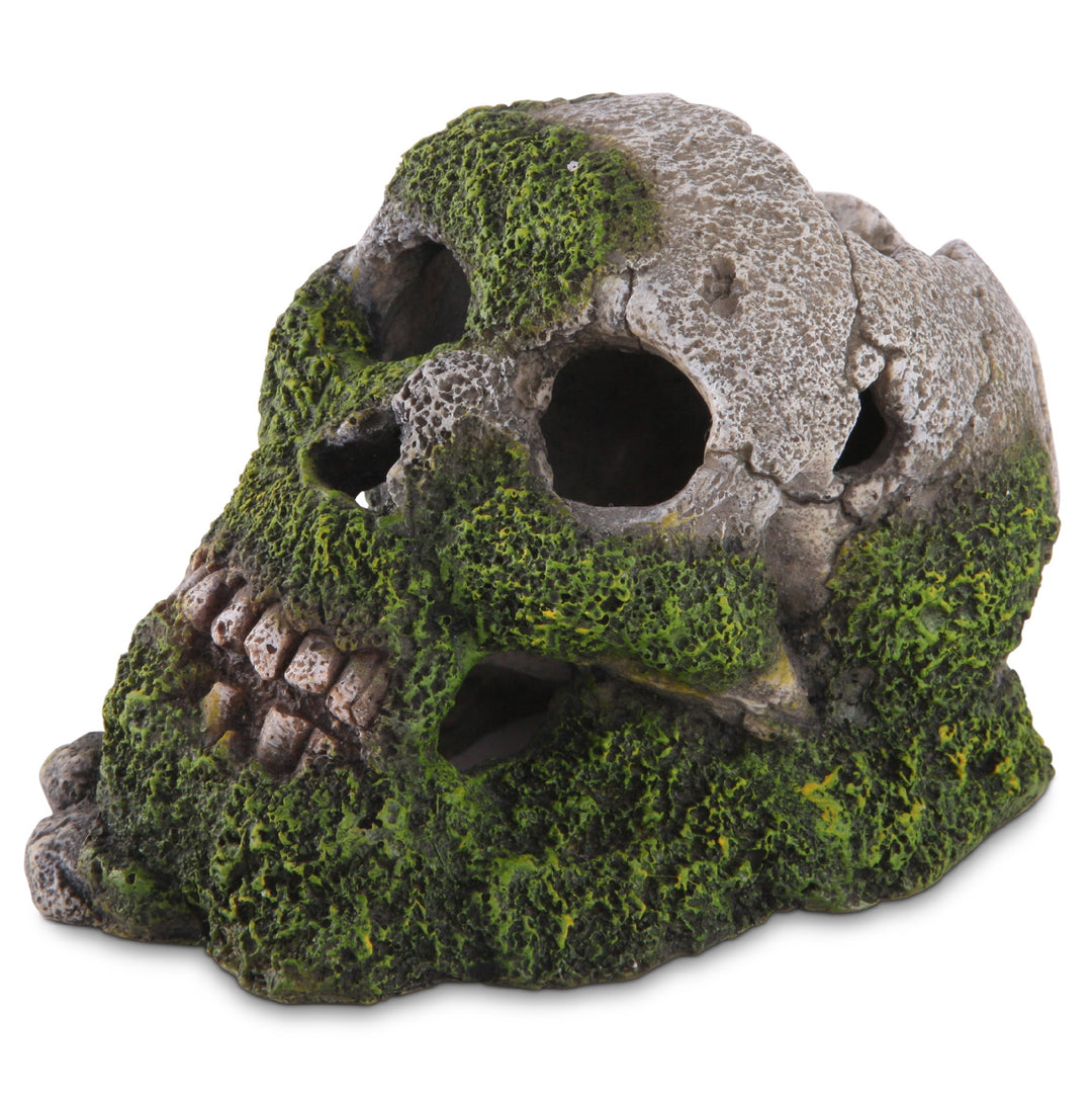Kazoo Ornament Skull With Moss And Air Stone Medium