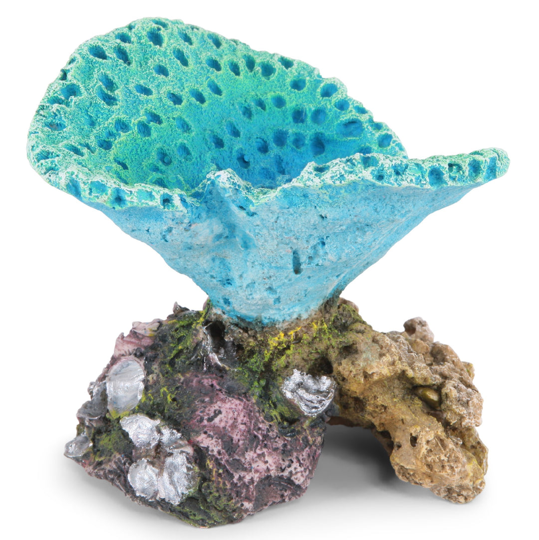 Kazoo Ornament Fluro Foliase Coral Cup Blue - Small