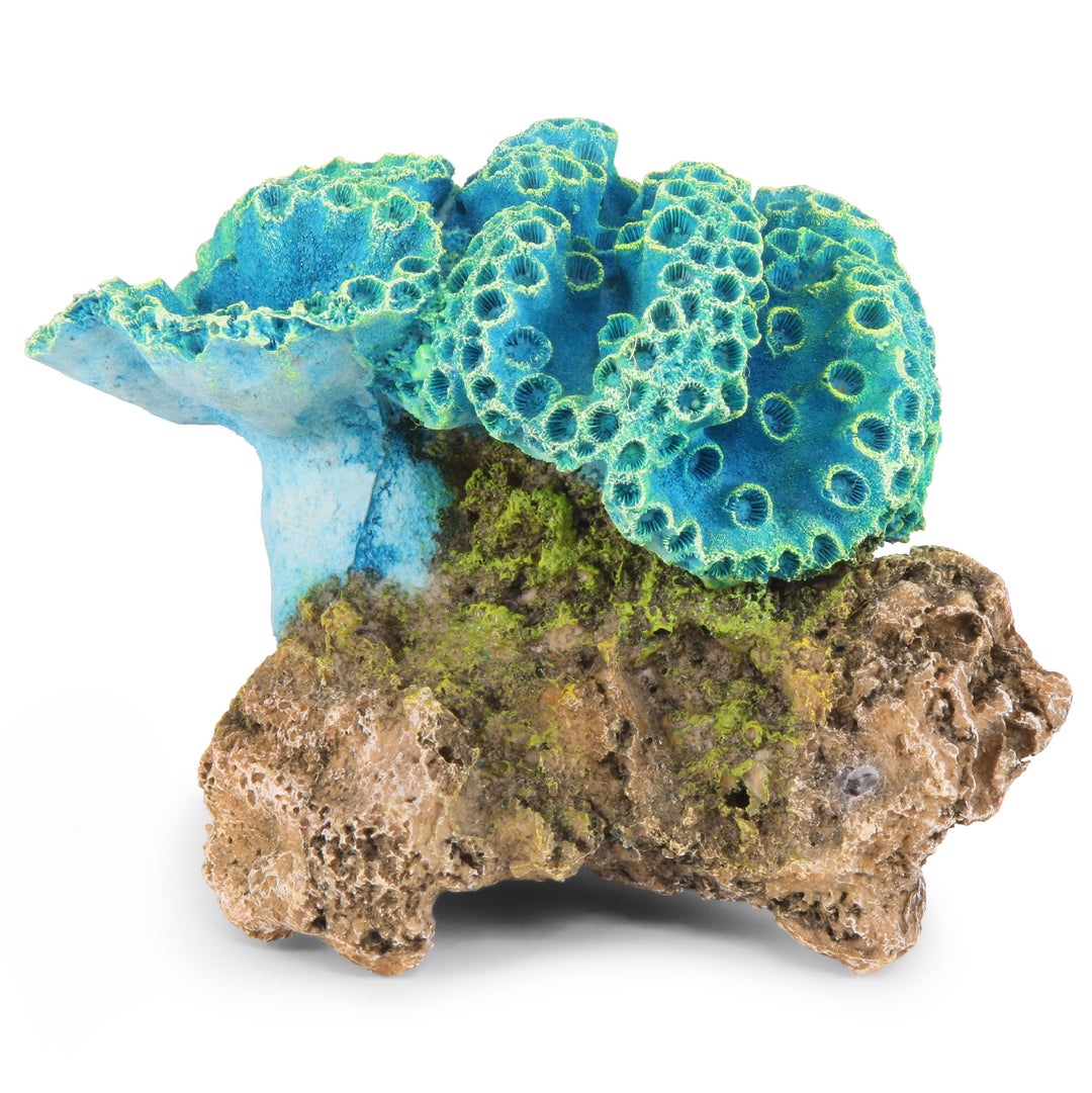 Kazoo Ornament Fluro Foliase Coral Blue - Medium