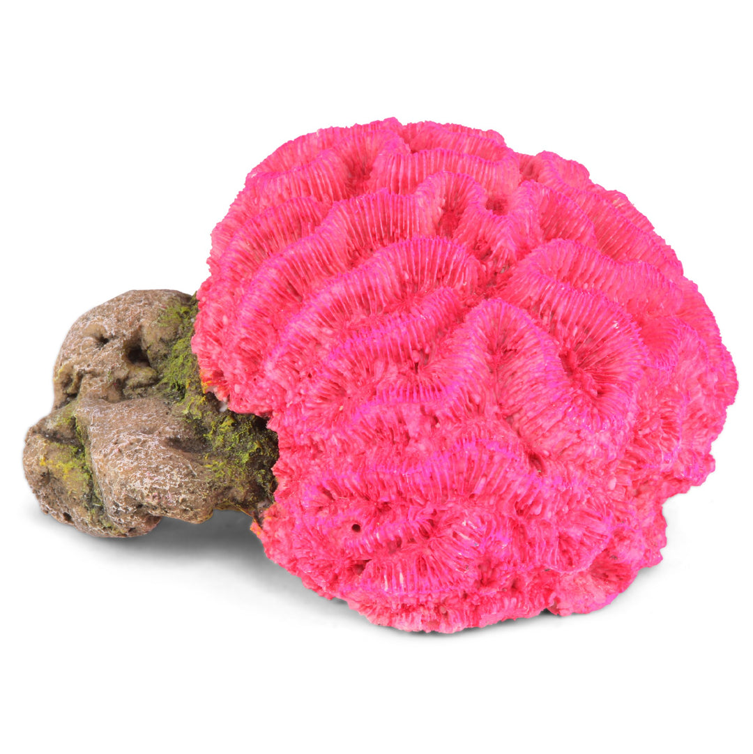 Kazoo Ornament Fluro Brain Coral Pink - Large