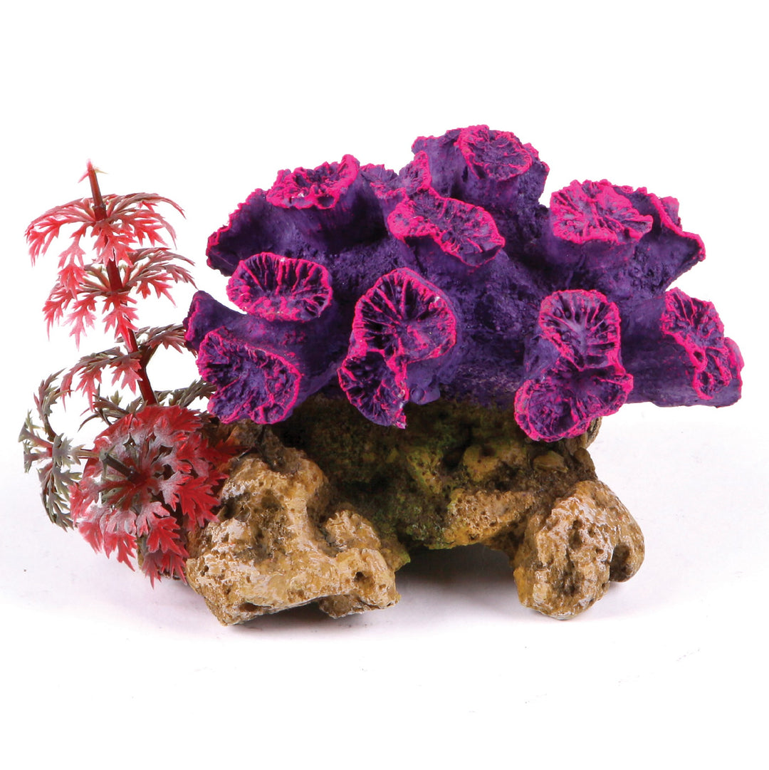 Kazoo Ornament Coral W/plant - Small
