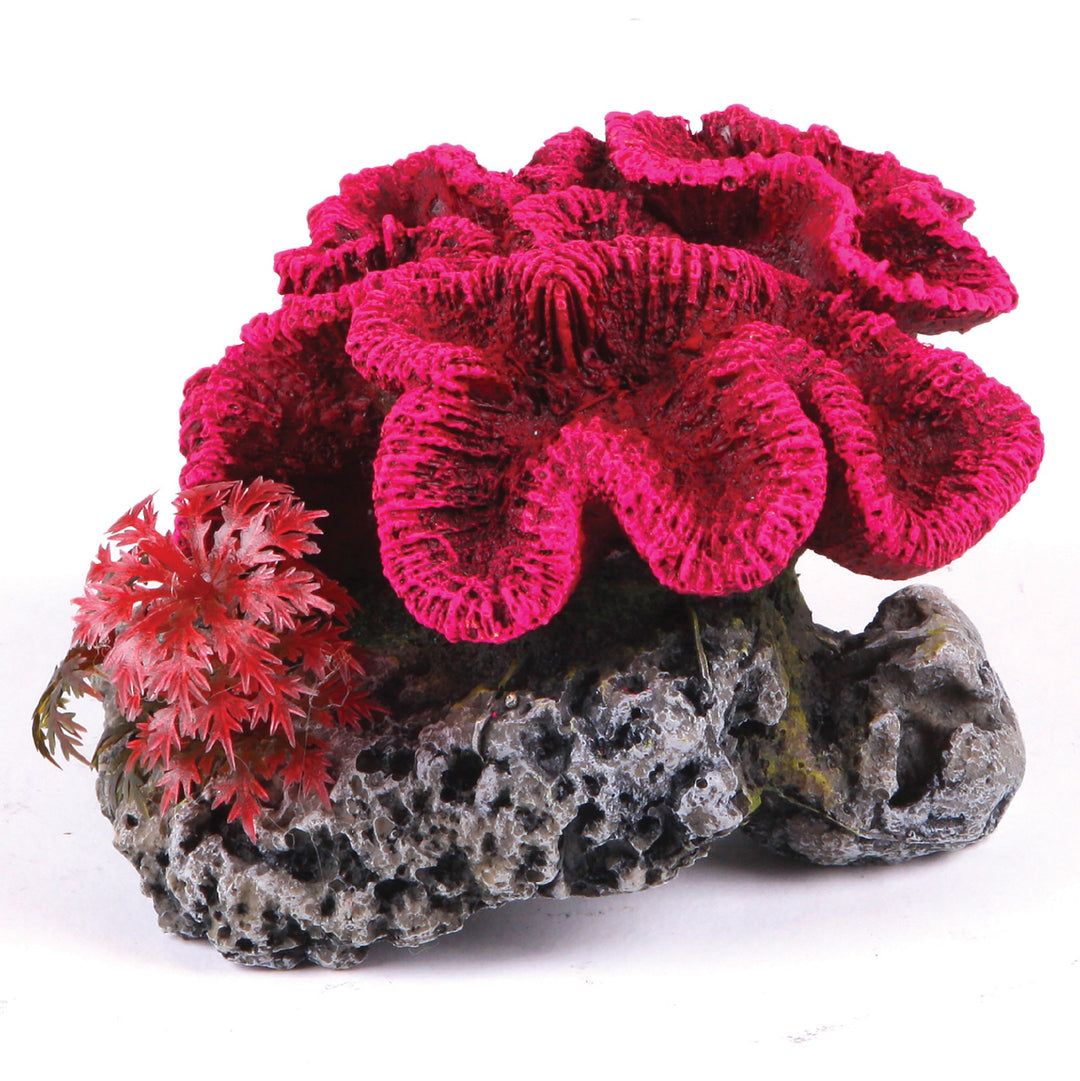 Kazoo Ornament Coral W/plant Medium