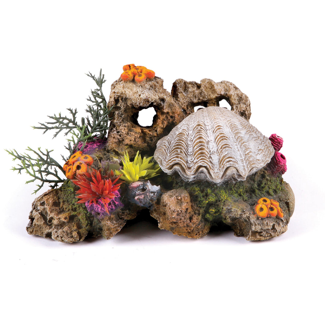 Kazoo Ornament Action Clam W/coral & Plants - Medium