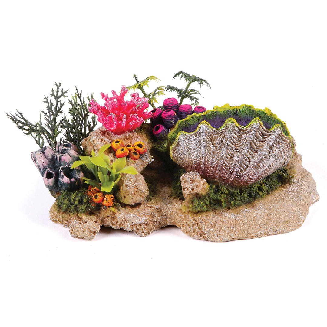 Kazoo Ornament Clam W/coral Plants & Air Medium
