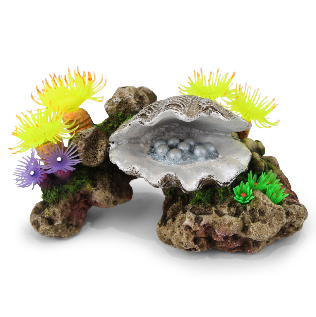 Kazoo Ornament Peral Clam W/soft Coral & Plants - Medium
