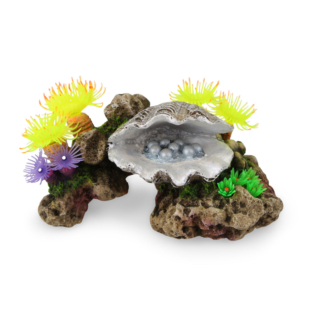 Kazoo Ornament Peral Clam W/soft Coral & Plants - Medium