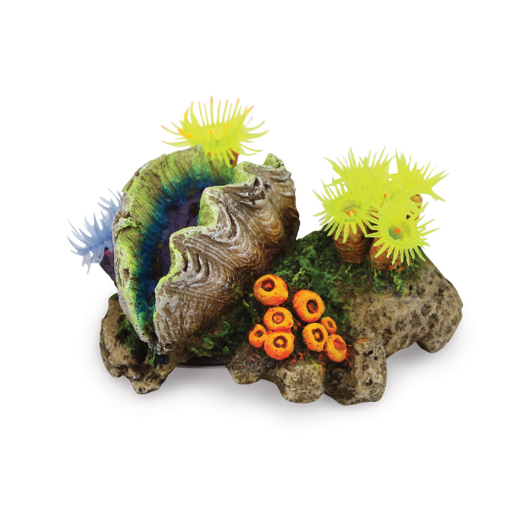 Kazoo Ornament Closed Clam W/soft Coral & Plants - Small