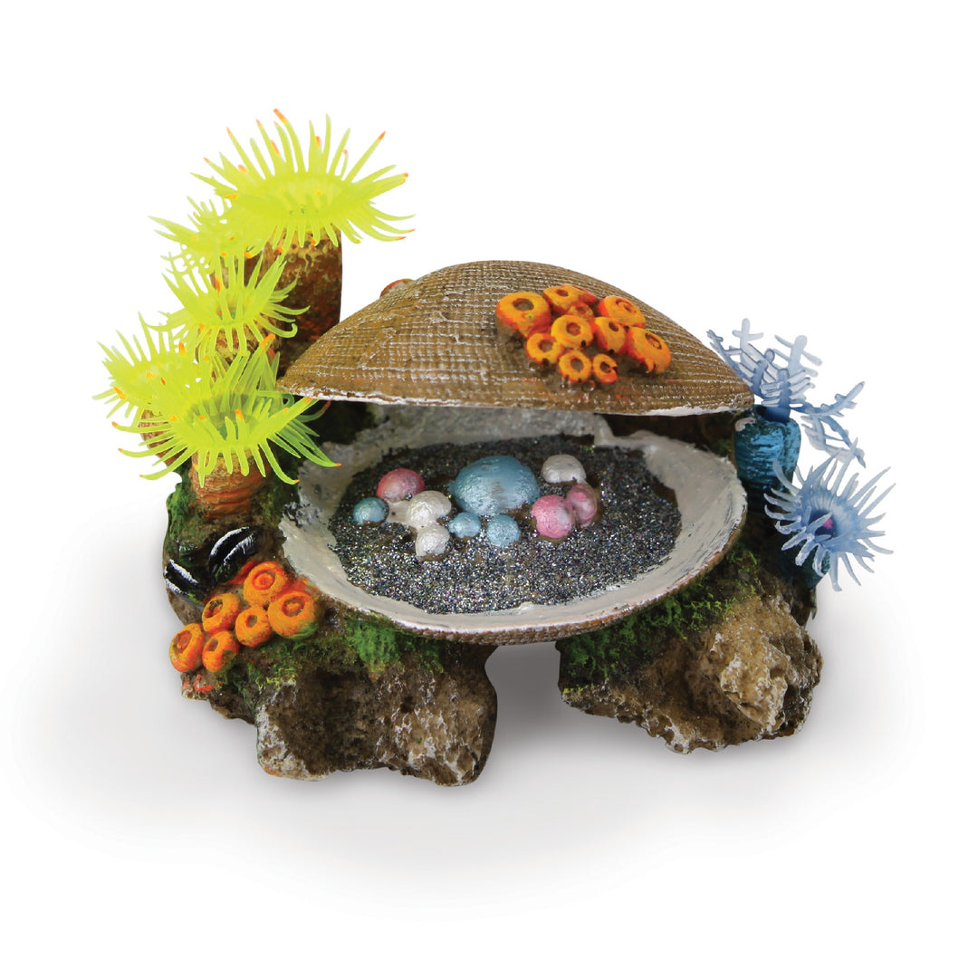 Kazoo Ornament Treaseure Clam W/soft Coral & Plants - Small